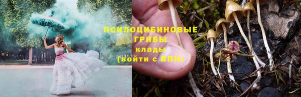 эйфоретик Михайловка