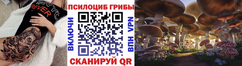 где можно купить наркотик  Шадринск  Галлюциногенные грибы Psilocybe 