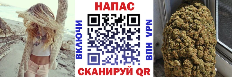 Шишки марихуана Amnesia  где найти   Шадринск 